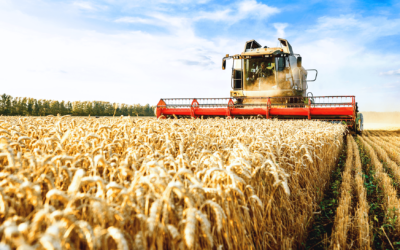 Agricultural Equipment Company Fined $145,000 by DOL for Violating Whistleblower Provisions