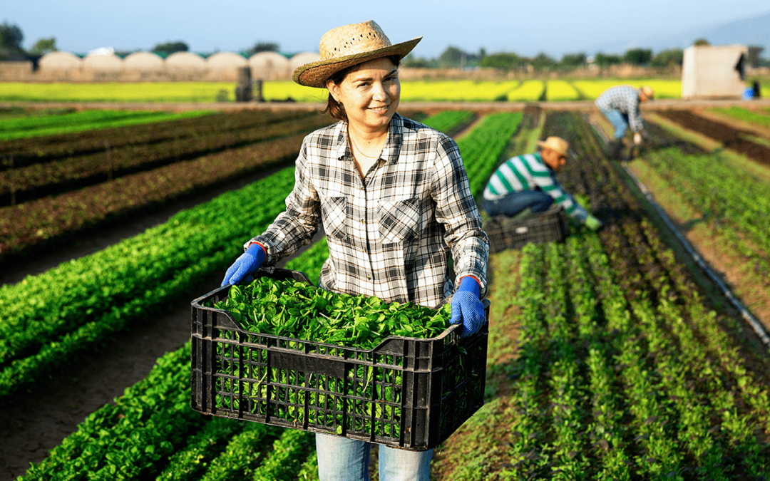 DOL Recovers $540,221 in FLSA Penalties from Farm Labor Contractors