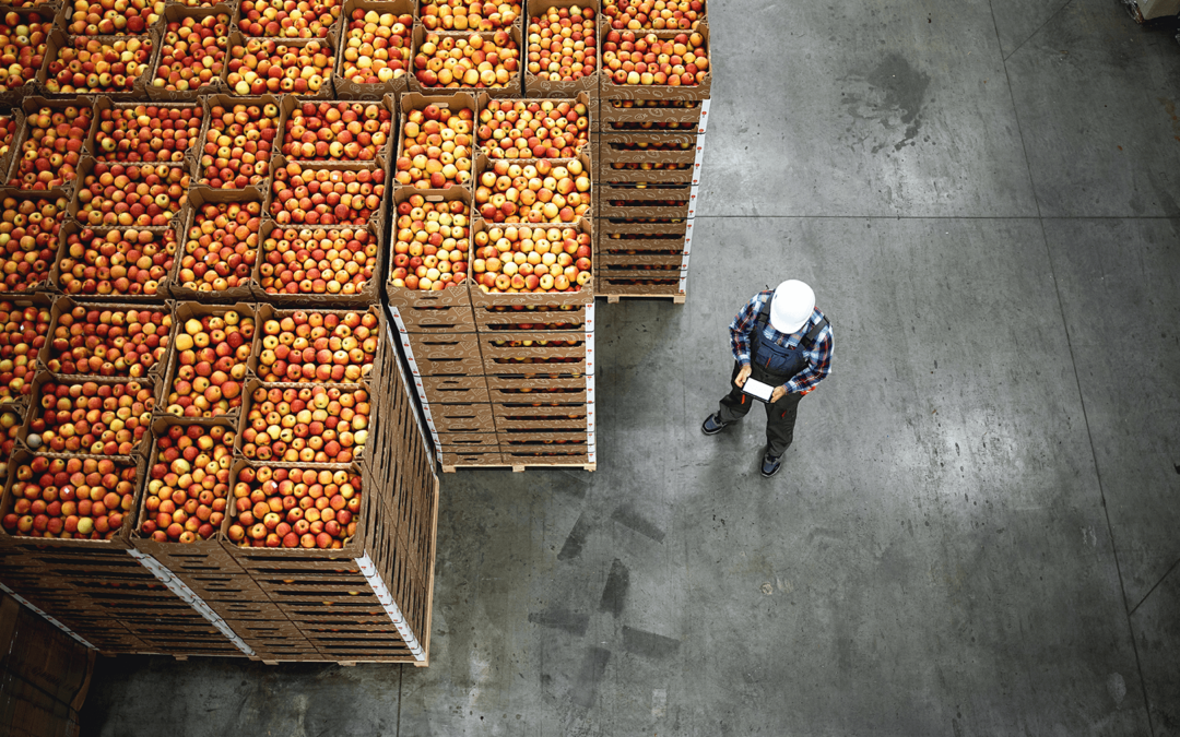 $54,000 in Wage and Hour Violations Recovered by DOL From Fruit Business