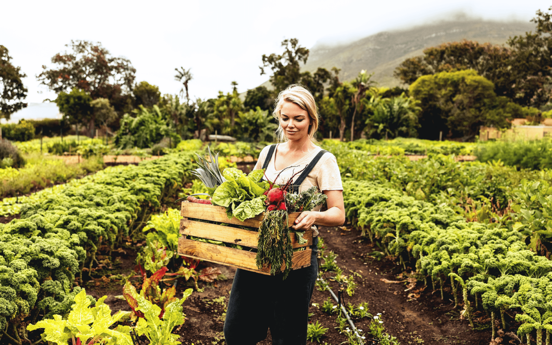 DOL Recovers $71,000 in Back Wages from Produce Business: What Small Businesses Can Learn