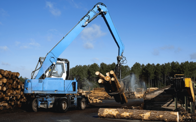 Sawmill Operator Faces $218,759 in Penalties After OSHA Investigation
