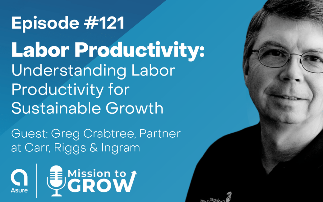 Labor Productivity: Understanding Labor Productivity for Sustainable Growth