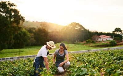 Simplifying Compliance For California Farmers