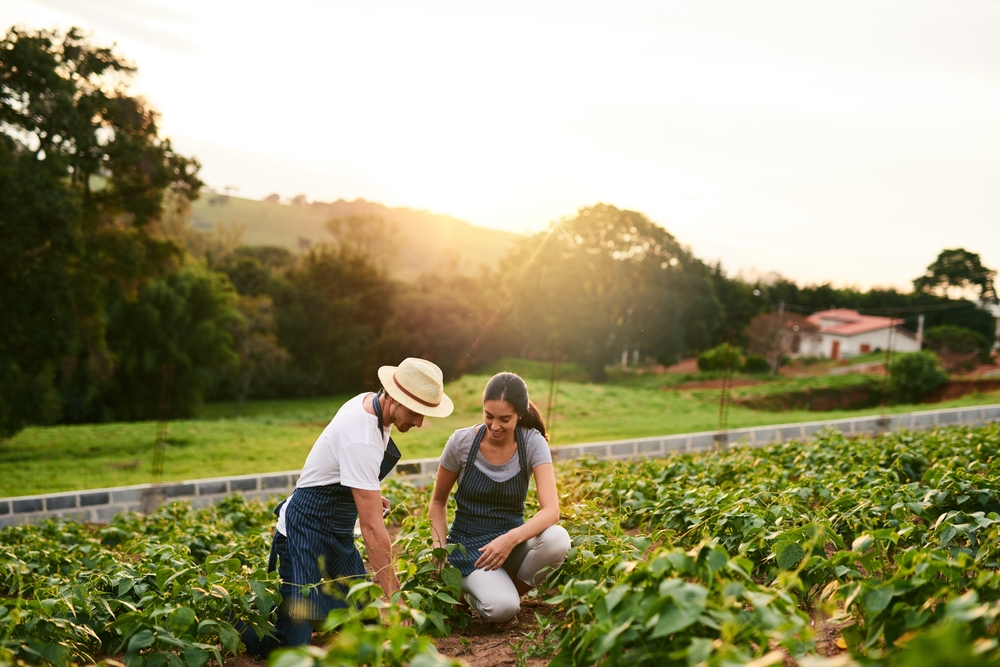 Simplifying Compliance For California Farmers